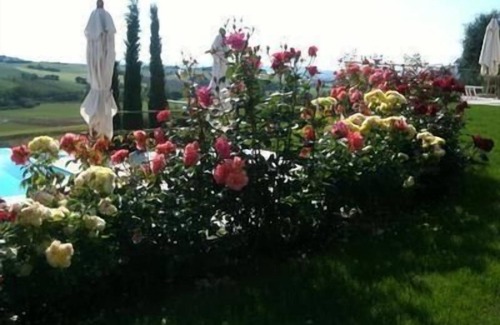 Monte San Vito Apartment | Holiday apartment Monte San Vito for 2 - 6 persons with 2 bedrooms - Holiday apartment