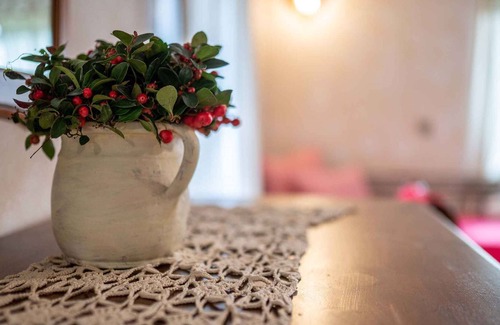 Gozd Martuljek Apartment | Holiday apartment with terrace