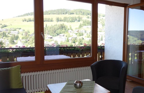 Todtnauberg Apartment | Holiday Apartment '2, 45 sqm' with Mountain View, Shared Terrace and Wi-Fi
