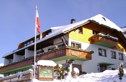 Todtnauberg Apartment | Holiday Apartment '2, 45 sqm' with Mountain View, Shared Terrace and Wi-Fi