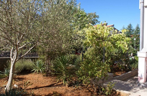 Krk Apartment | Holiday apartment 300 m from the beach