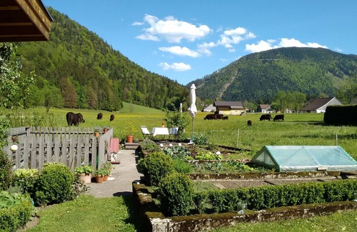 Faistenau Apartment | Holiday apartment (80 sqm)- in the area of Salzburg and the Salzkammergut