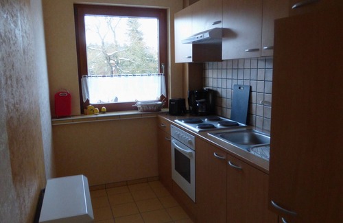 Hermsdorf-Erzgebirge Apartment | Holiday Apartment 'Adrett' with Garden & Wi-Fi