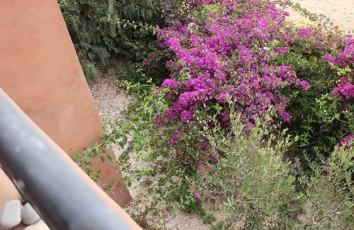 Ait Bihi Apartment | Holiday apartment Agadir for 1 - 6 persons with 2 bedrooms - Twin house