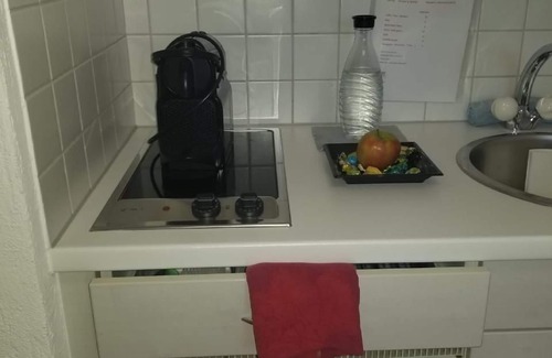 Altenrhein Apartment | Holiday apartment Altenrhein for 1 - 2 persons with 1 bedroom - Holiday apartment