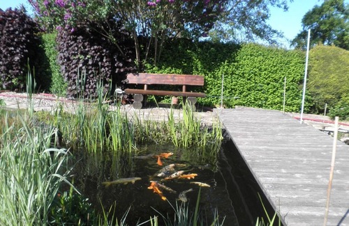 Altrich Apartment | Holiday apartment Altrich for 1 - 2 persons with 1 bedroom - Holiday apartment in one or multi-famil