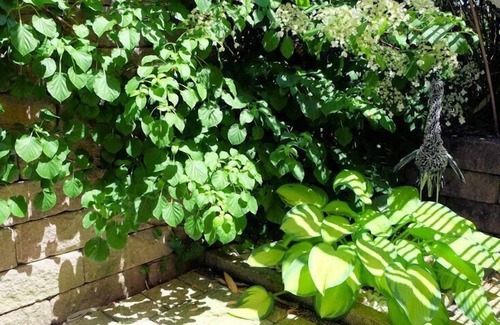 Amtzell House | Holiday apartment Amtzell for 1 - 3 persons with 1 bedroom - Holiday house