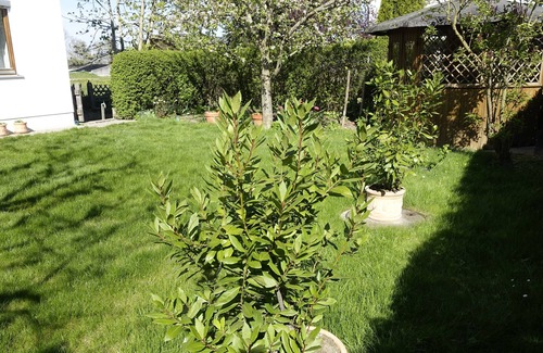 Tannheim Apartment | Holiday Apartment Andrea