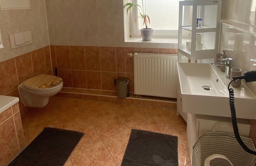 Suedwest Apartment | holiday apartment/apt. for 6 guests with 69m² in Leipzig (175764)