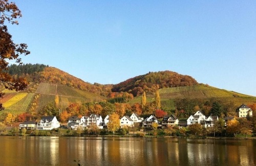 Alf Apartment | holiday apartment/apt. for 5 guests with 65m² in Alf (180555)