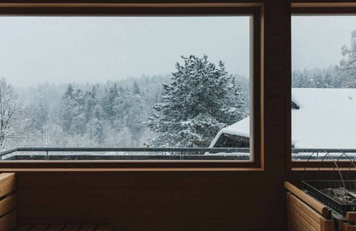 Oberaichwald Apartment | Holiday apartment with indoor swimming pool and sauna
