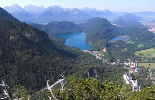 Oberkirch Apartment | Holiday apartment at the rose garden