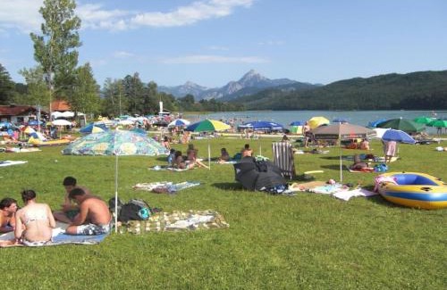 Oberkirch Apartment | Holiday apartment at the rose garden