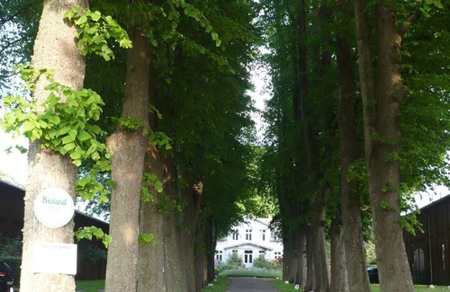 Curau Apartment | Holiday apartment Stockelsdorf for 1 - 4 persons with 1 bedroom - Holiday apartment