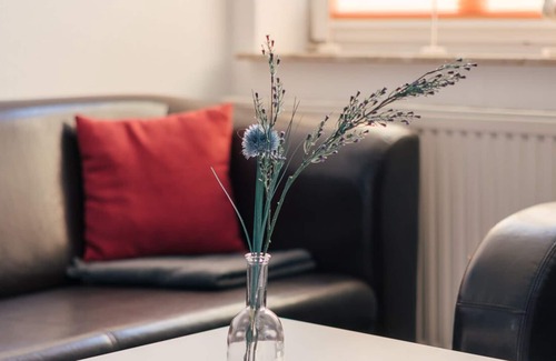 Tumlauer Koog Other | Holiday apartment for 5 persons with riding possibilities. 8KM next to St Peter-Ording.