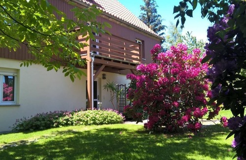 Buhlau/Weier Hirsch Apartment | Holiday apartment Dresden for 1 - 2 persons - Holiday apartment