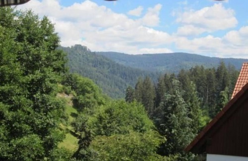 Forbach Apartment | Holiday apartment Forbach for 1 - 4 persons with 2 bedrooms - Holiday apartment