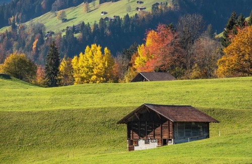 Frutigen Ski Chalet | Holiday apartment Frutigen for 1 - 5 persons with 2 bedrooms - Holiday apartment in one or multi-fam