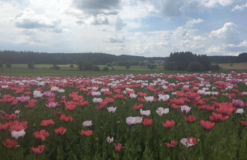 Sallingberg House | Holiday apartment Grainbrunn for 1 - 3 persons - Holiday house