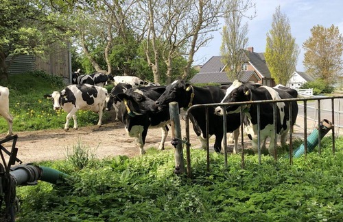 Midlum Apartment | Holiday apartment Hinrichsen 2