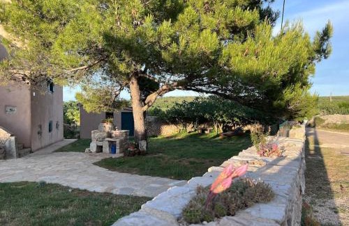 Belej Apartment | Holiday Apartment