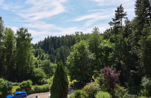 Lutzenhardt Apartment | Holiday apartment in the Black Forest