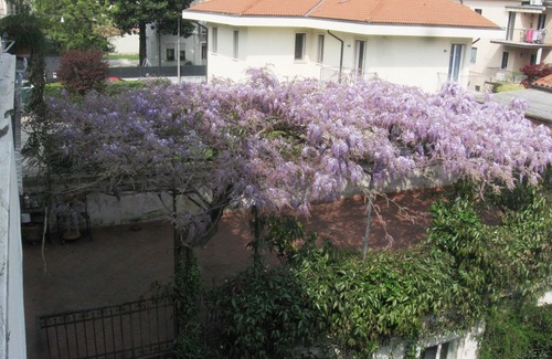 Vicenza Apartment | Holiday apartment in the city