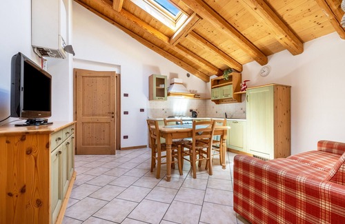 Ronzo-Chienis Apartment | Holiday Apartment "Agritur Piazera Attico" with Mountain View