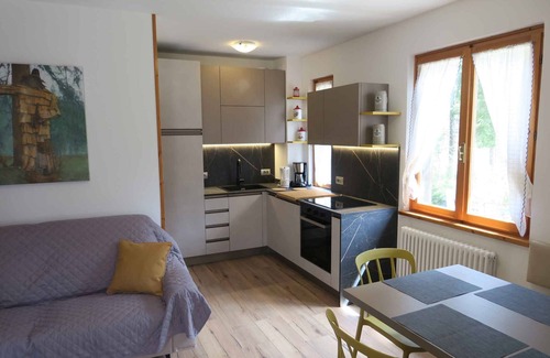 Pieve di Ledro Apartment | Holiday apartment with washing machine and internet access