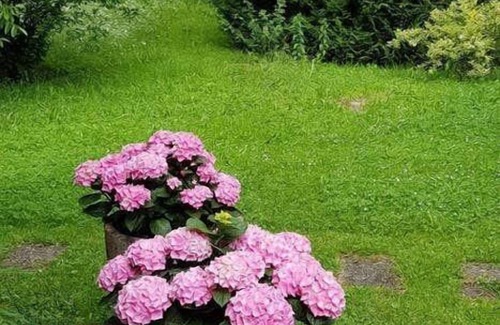 Kandern Apartment | Holiday apartment Kandern for 2 - 4 persons with 1 bedroom - Holiday apartment