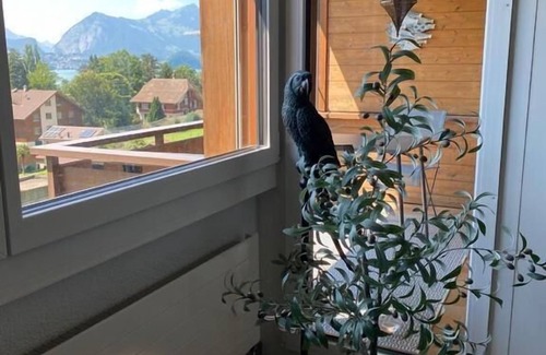 Merligen Apartment | Holiday apartment Merligen for 2 persons with 1 bedroom - Holiday apartment