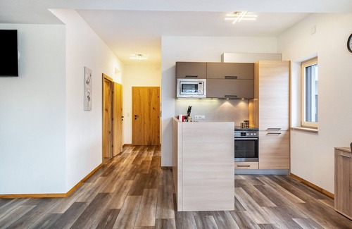 Kaltenbach Apartment | Holiday Apartment "Steinwender" with Mountain View, Terrace & Wi-Fi