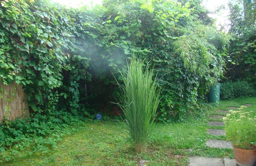 Steckborn Apartment | Holiday apartment Steckborn for 1 - 6 persons with 3 bedrooms - Detached holiday house