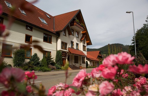 Tonbach Apartment | Holiday Apartment Type C 41, 35sqm, 1 Living/Sleeping Room, Max. 2 Persons