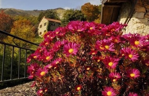 Maissana Other | Holiday apartment Tavarone for 2 - 4 persons with 1 bedroom - Farmhouse