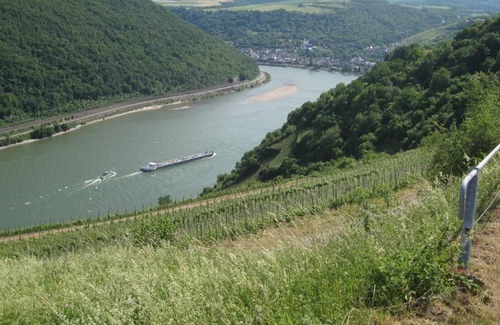 Upper Middle Rhine Valley Apartment | Holiday apartment Urbar for 2 - 3 persons with 1 bedroom - Holiday apartment