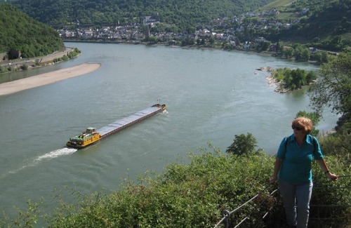 Upper Middle Rhine Valley Apartment | Holiday apartment Urbar for 2 - 3 persons with 1 bedroom - Holiday apartment