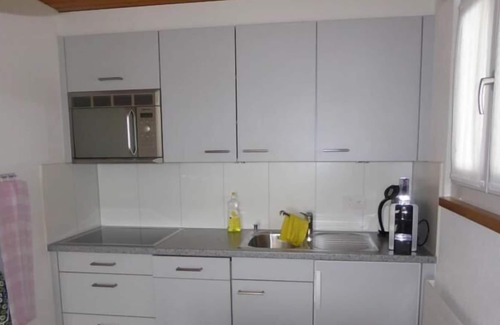 Wengen Apartment | Holiday apartment Wengen for 2 - 3 persons with 1 bedroom - Holiday apartment