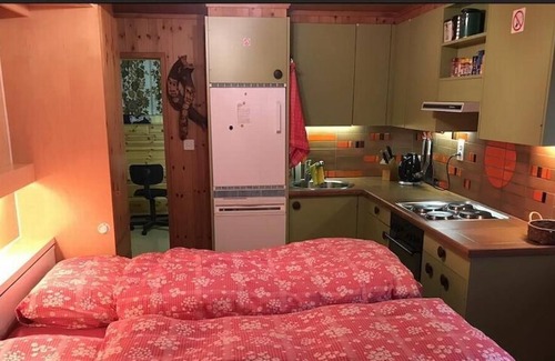 Wiler Apartment | Holiday apartment Wiler for 2 - 3 persons with 2 bedrooms - Holiday apartment
