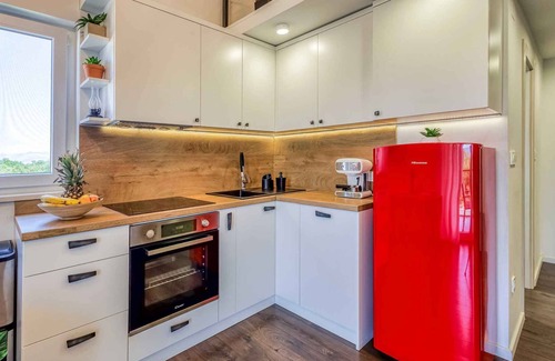 Milovcici Apartment | Holiday apartment with terrace