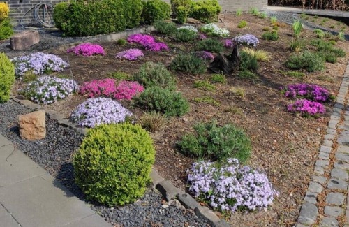 Wardt Apartment | Holiday apartment Xanten South Sea Apartment 1