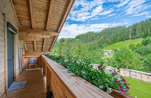 Gruberberg Apartment | Holiday apartment with a balcony in Hopfgarten