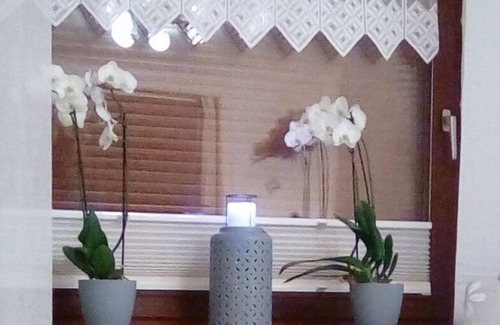Pahlen House | !!! HOLIDAY AT THE WATER !!!! Nice cottage on the Eider