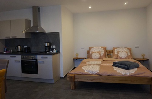Mainz-Bingen Apartment | Holiday Cherry Blossom Garden