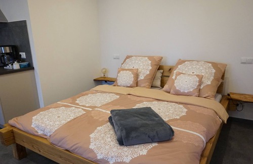 Mainz-Bingen Apartment | Holiday Cherry Blossom Garden