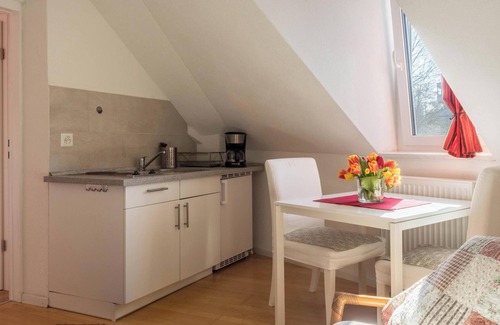 Kreuzlingen Apartment | Holiday Flat "Zimmer mit Kochnische Kletterrose" Close to the Old Town Centre