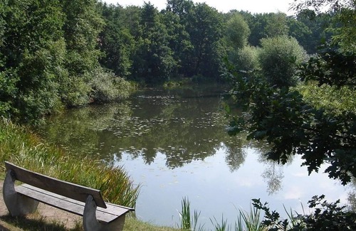Nordburg House | Holiday home for 5 guests with 70m² in Wienhausen-Nordburg (181288)