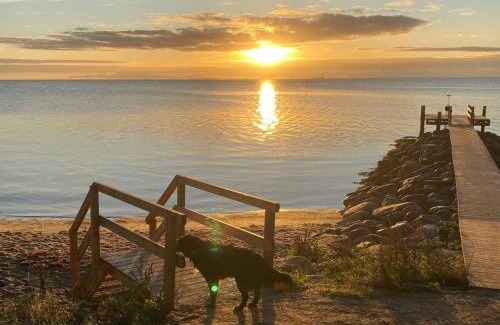 Pøt Strandby House | Holiday Home Alpa - 600m from the sea by Interhome