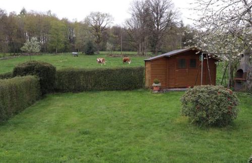 Heupelzen Apartment | Holiday home Am Beulskopf
