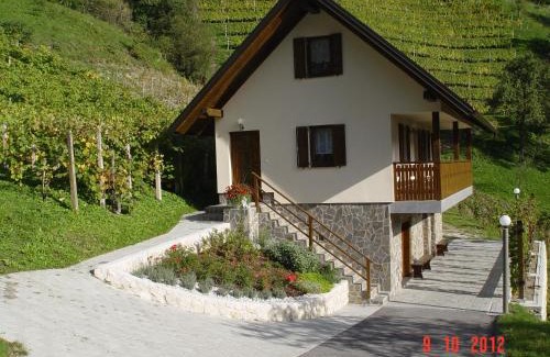 Radece House | Holiday home Baron